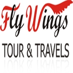 flywings tour & travels chandigarh